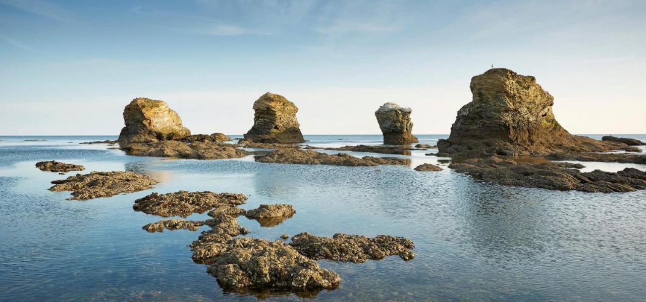 Appart Bord De Mer, 6 Places, Plage, Dune, Parking Gratuit, Rez De Chaussee Saint-Hilaire-de-Riez Ngoại thất bức ảnh